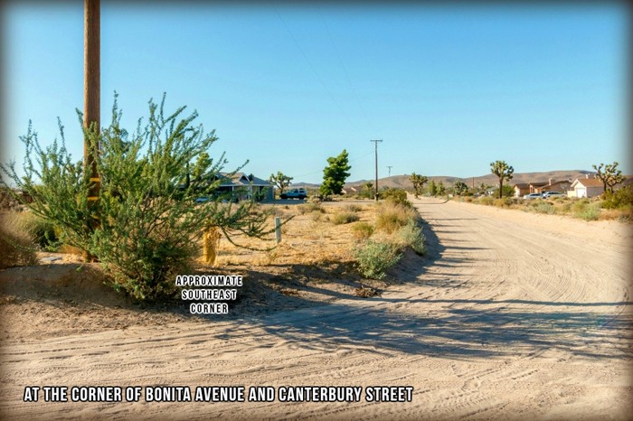 Bonita Avenue